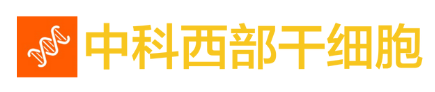 未命名的设计 (1) 未命名的设计 (1)