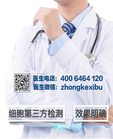 未命名的设计 (2)