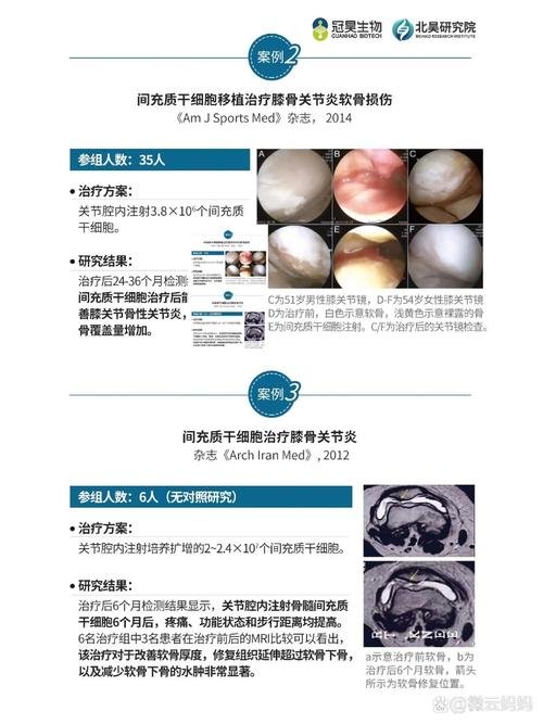细胞的做用_干细胞的作用和功效_细胞的功效