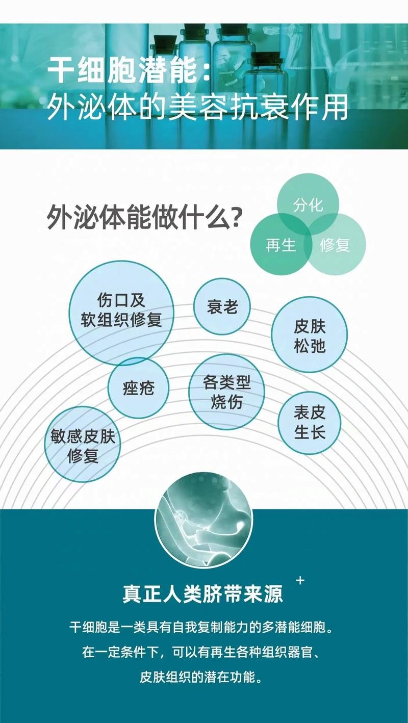 打干细胞是啥_打干细胞?_打干细胞是什么