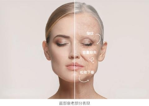 干细胞外泌体功能_干细胞外泌体作用详解_干细胞外泌体的研究思路