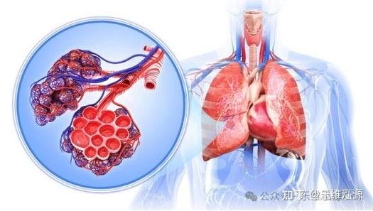 细胞再生治疗慢阻肺_再生阻肺慢细胞治疗效果好吗_再生医学治疗慢阻肺