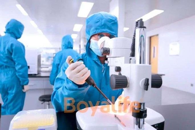 间充质干细胞属于成体干细胞吗_骨髓间充质干细胞来源外泌体_间充质干细胞外泌体的作用