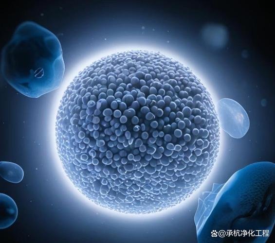 干细胞的功能是_干细胞是什么东西 它作用是什么_细胞干能做什么食品