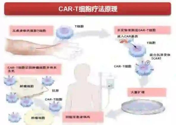 免疫细胞治疗技术被允许了吗_免疫细胞治疗技术_免疫细胞治疗技术备案