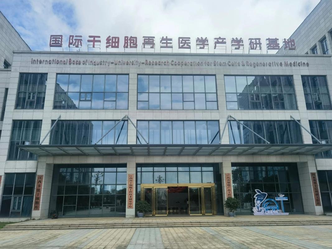 细胞针有用吗_细胞针如何使用_干细胞多少针为一疗程