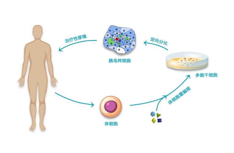 注射用干细胞都有什么牌子_干细胞注射一次效果如何_干细胞注射器