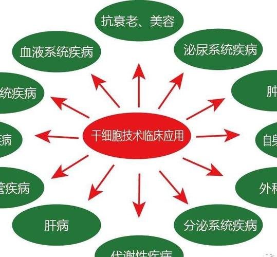 干细胞针的作用_干细胞针剂多少钱一支_干细胞针价格表