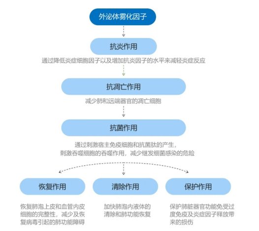 泌外一类手术切口_干细胞外泌体不良反应_外泌体干预细胞