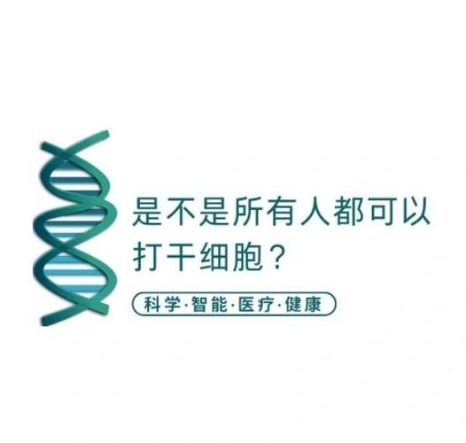 功能性干细胞_干细胞的功能包括_干细胞的三大功能