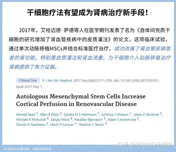 疗法细胞治疗干尿毒症效果好吗_干细胞疗法治疗尿毒症_2020年干细胞治尿毒症