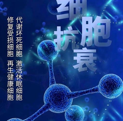 干细胞的功能特点_细胞干能做什么食品_干细胞的主要功能和作用