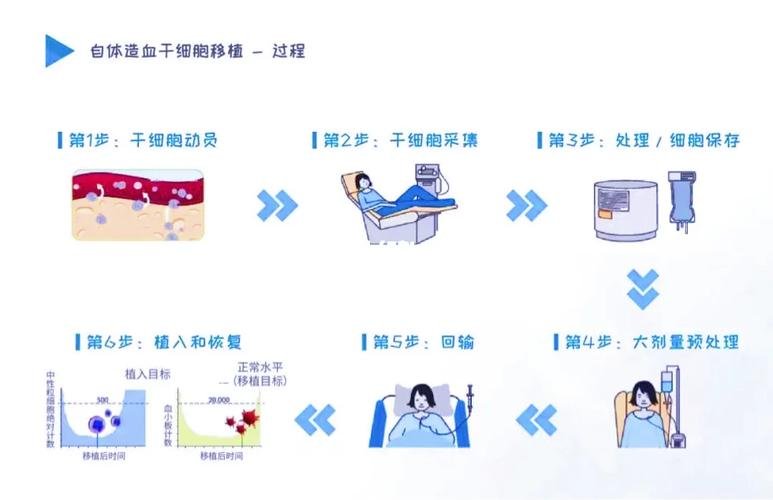 自体干细胞移植需要多少钱_自体移植干细胞过程_自体干细胞移植需要输血吗