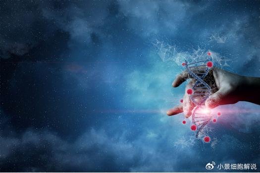 nk细胞回输后的真实效果_细胞回输疗法_细胞回输副作用