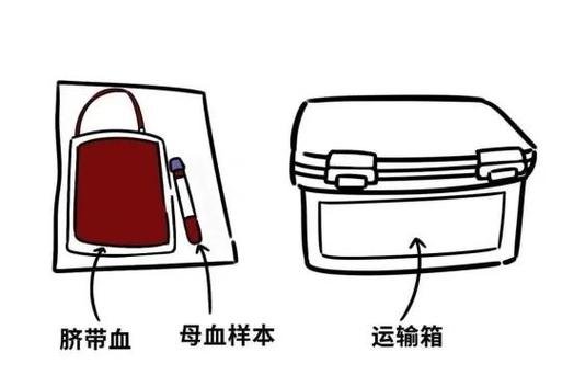 提取干细胞对身体好不好_干细胞是从哪里提取的_细胞提取技术