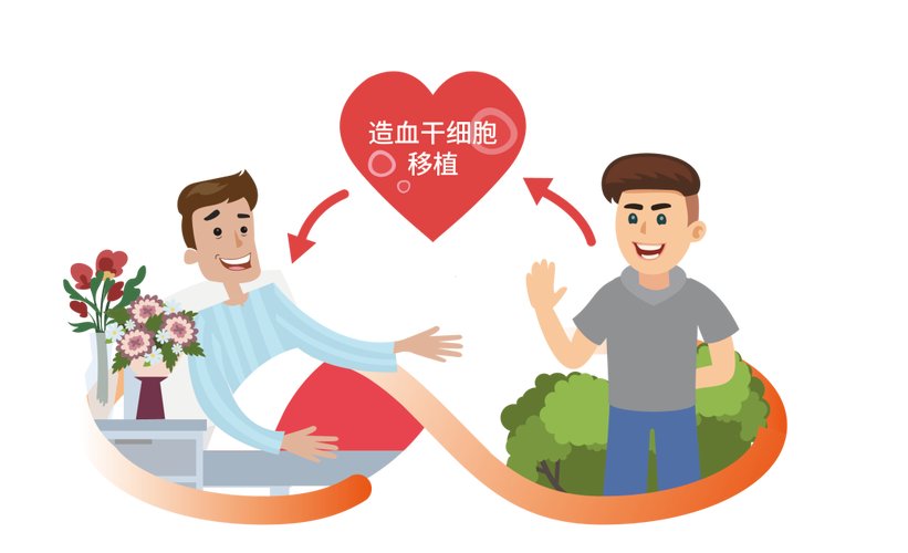 移植干细胞是什么意思_移植干细胞的流程_干细胞移植是怎么移植的
