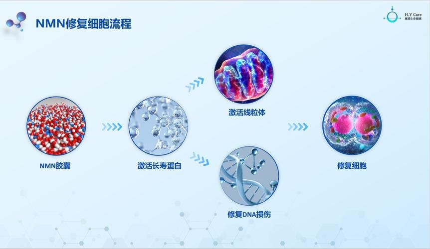免疫细胞治疗技术成熟吗_免疫细胞治疗技术_免疫细胞治疗技术备案