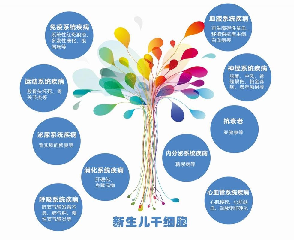 脐带干细胞储存骗局_细胞干脐带作用功能有哪些_脐带干细胞的作用及功能