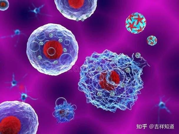 2020国家为什么禁止干细胞_禁止干细胞研究_国家为什么禁止打干细胞