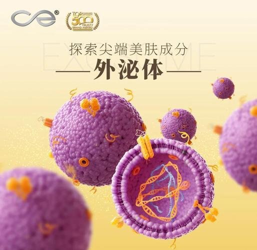 干细胞外泌体原液_干细胞外泌体有什么功效_什么叫干细胞外泌体