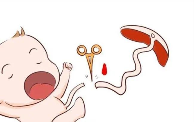 脐带干细胞存储机构_存储干细胞及脐带血的区别_脐带干细胞储存可靠吗