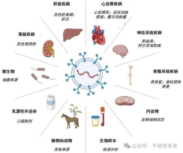 干细胞和干细胞外泌体的区别在哪_干细胞和干细胞外泌体的区别_干细胞外泌体有什么功效
